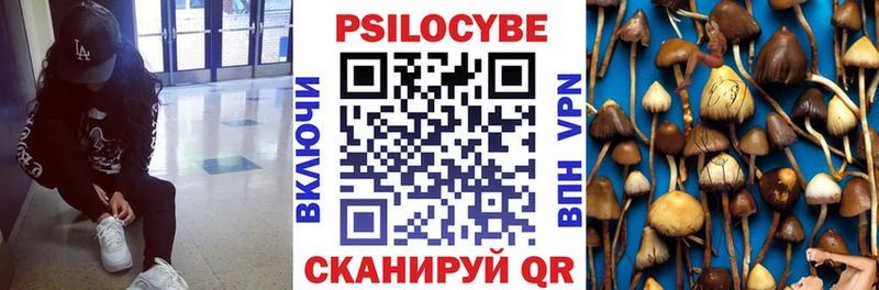 Купить закладки  Красный Холм  Галлюциногенные грибы мухоморы 